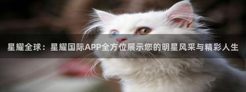 新城平台2平台注册：星耀全球：星耀国际APP全方位展示您的明星风采与精彩人生
