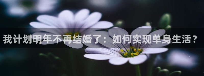 新城平台体育官网登录：我计划明年不再结婚了：如何实现单身生活？