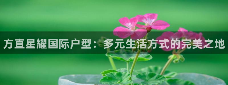 新城平台2登录地址：方直星耀国际户型：多元生活方式的完美之地