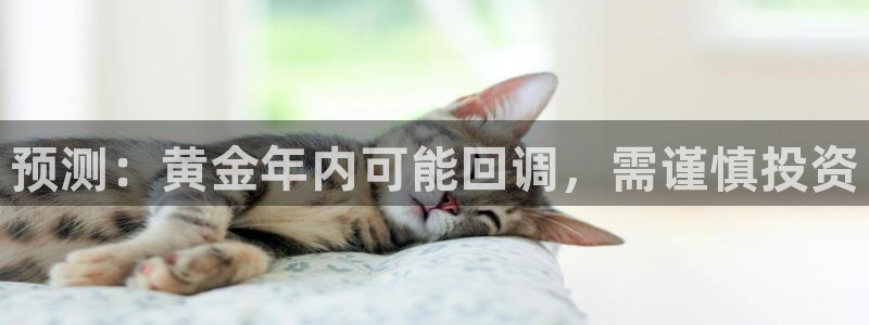 东莞市新城平台电子科技有限公司：预测：黄金年内可能回调，需谨慎投资