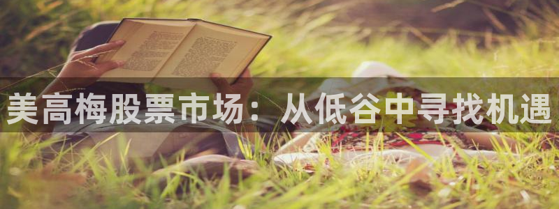 新城平台5：美高梅股票市场：从低谷中寻找机遇