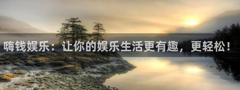 新城平台平台