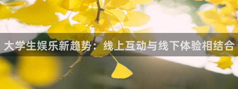 新城平台2平台注册：大学生娱乐新趋势：线上互动与线下体验相结合