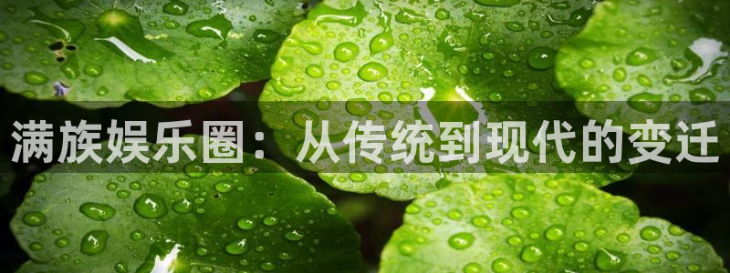 新城平台招商：满族娱乐圈：从传统到现代的变迁