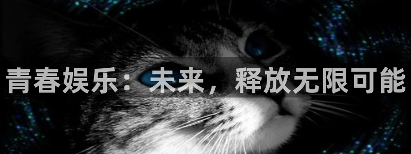 新城平台体育官网入口登录：青春娱乐：未来，释放无限可能