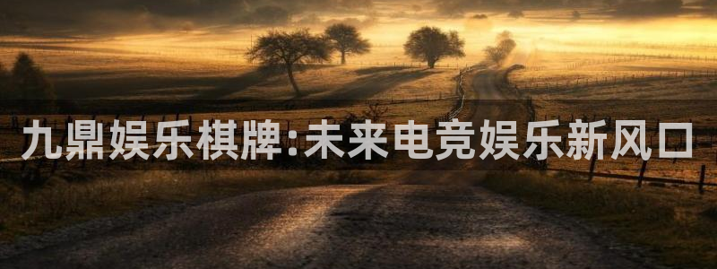 新城平台2体育：九鼎娱乐棋牌:未来电竞娱乐新风口
