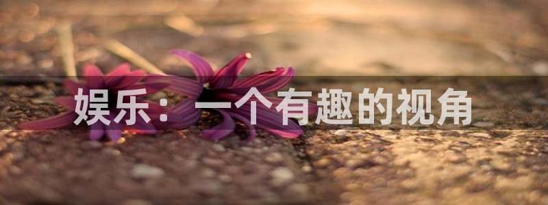 新城平台3官网：娱乐：一个有趣的视角