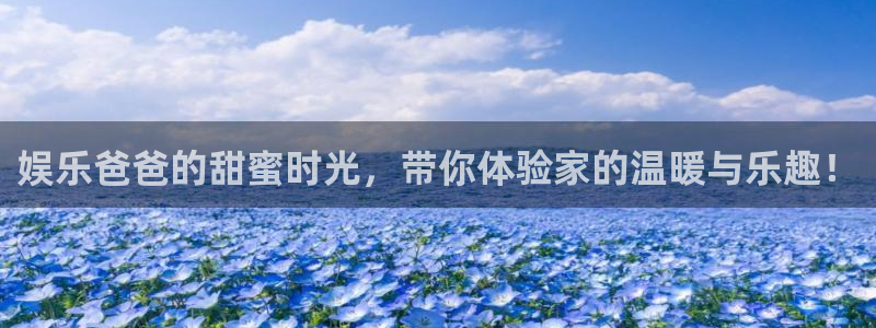 成都新城平台电子有限公司