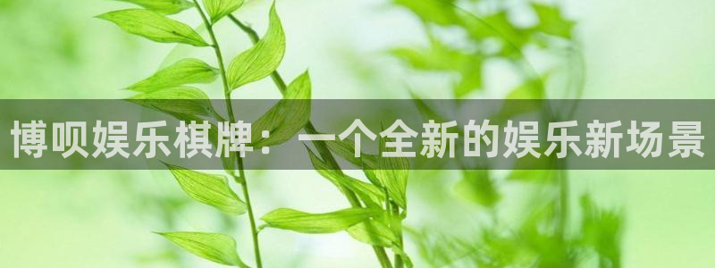 新城平台平台总代理：博呗娱乐棋牌：一个全新的娱乐新场景