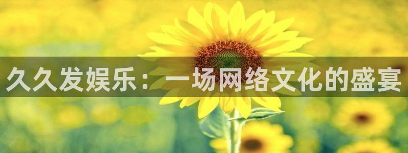 新城平台登录界面入口：久久发娱乐：一场网络文化的盛宴