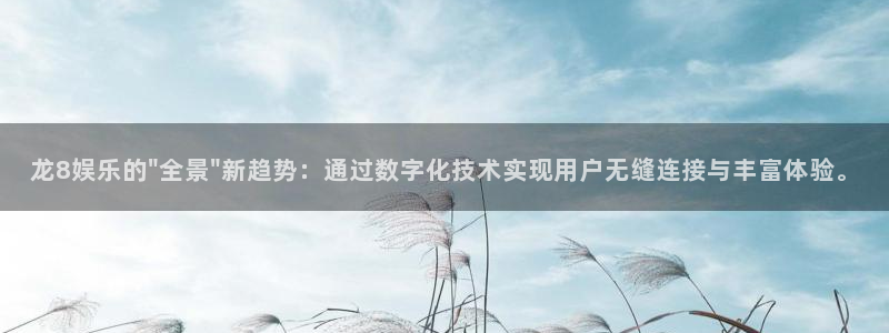 新城平台体育老板是谁：龙8娱乐的\
