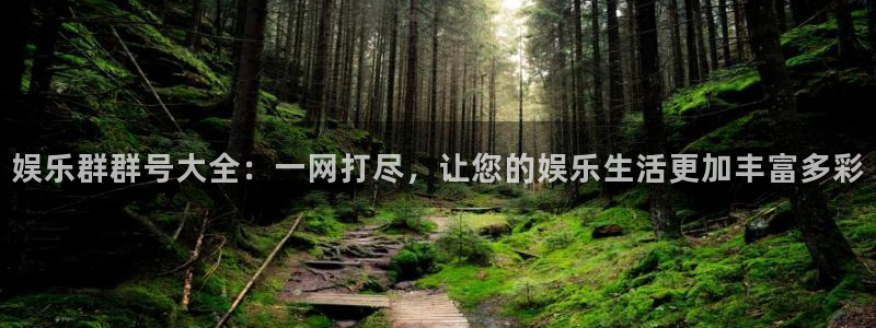 新城平台平台注册入口：娱乐群群号大全：一网打尽，让您的娱乐生活更加丰富多彩