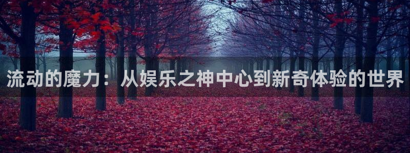 新城平台5注册：流动的魔力：从娱乐之神中心到新奇体验的世界