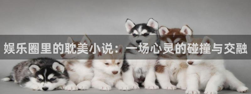 新城平台体育官网：娱乐圈里的耽美小说：一场心灵的碰撞与交融