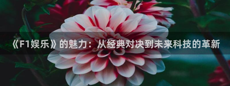 新城平台5：《F1娱乐》的魅力：从经典对决到未来科技的革新