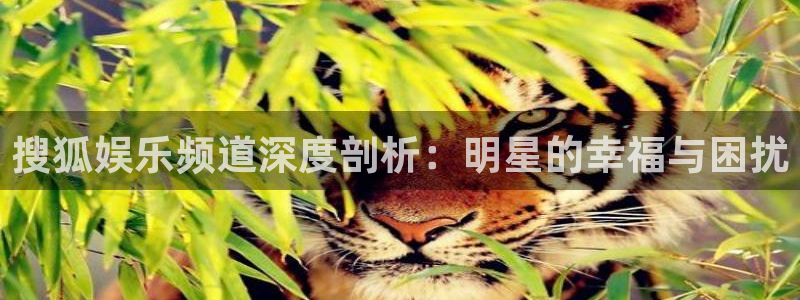 新城平台体育和杏耀是哪个公司的：搜狐娱乐频道深度剖析：明星的幸福与困扰