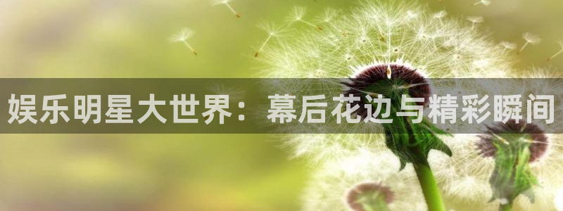 新城平台3：娱乐明星大世界：幕后花边与精彩瞬间