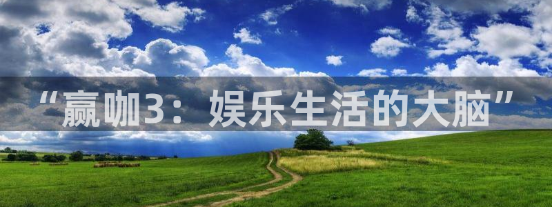 新城平台vk：“赢咖3：娱乐生活的大脑”