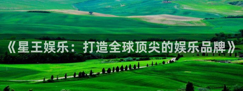 上海新城平台汽车电子有限公司：《星王娱乐：打造全球顶尖的娱乐品牌》