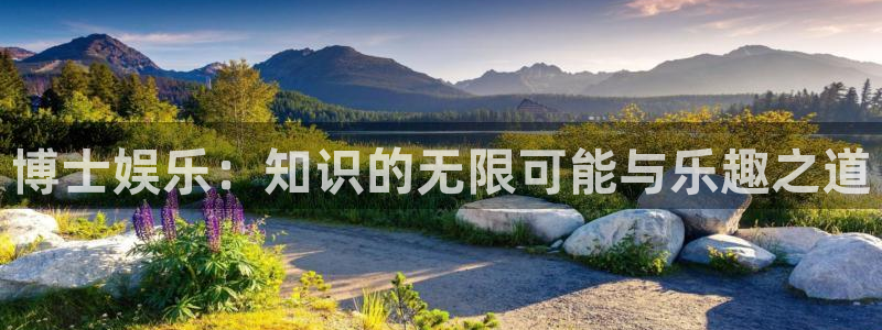 上海新城平台汽车电子有限公司：博士娱乐：知识的无限可能与乐趣之道