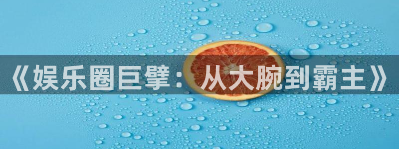 新城平台2代理注册：《娱乐圈巨擘：从大腕到霸主》