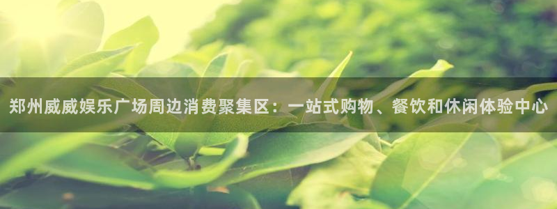 新城平台4平台：郑州威威娱乐广场周边消费聚集区：一站式购物、餐饮和休闲体验中心