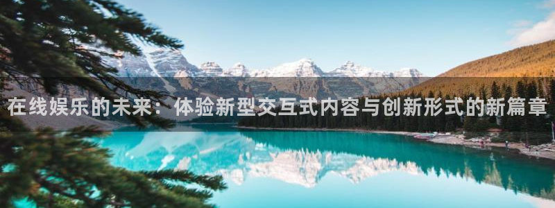 上海新城平台汽车电子有限公司：在线娱乐的未来：体验新型交互式内容与创新形式的新篇章