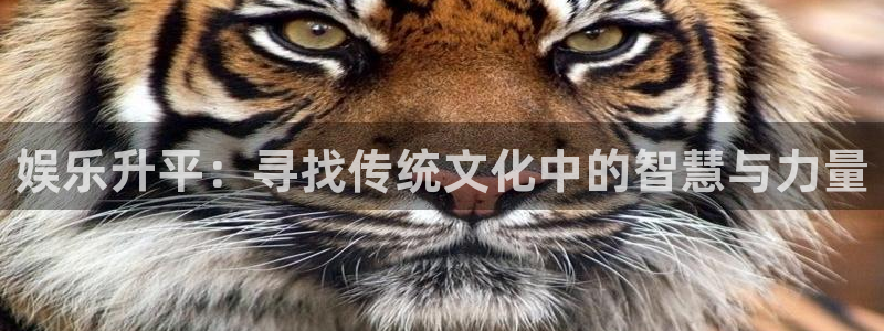 新城平台3平台登录注册：娱乐升平：寻找传统文化中的智慧与力量