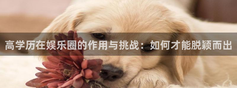 新城平台体育官网：高学历在娱乐圈的作用与挑战：如何才能脱颖而出