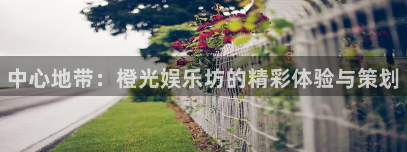 新城平台集团：中心地带：橙光娱乐坊的精彩体验与策划