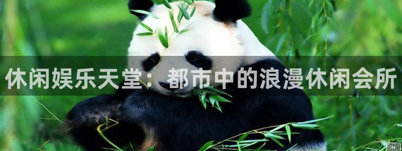 新城平台集团：休闲娱乐天堂：都市中的浪漫休闲会所