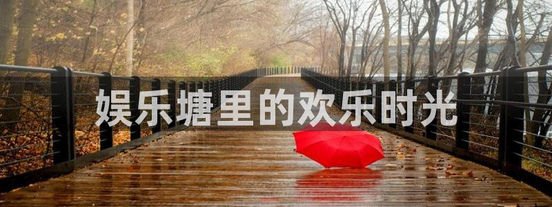 新城平台股份：娱乐塘里的欢乐时光
