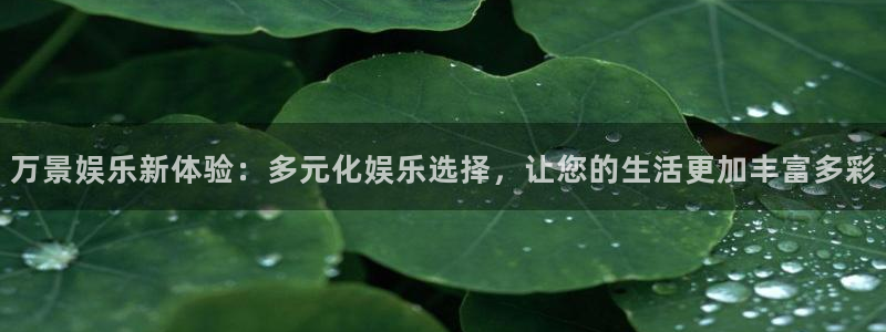 新城平台体育免费注册入口：万景娱乐新体验：多元化娱乐选择，让您的生活更加丰富多彩