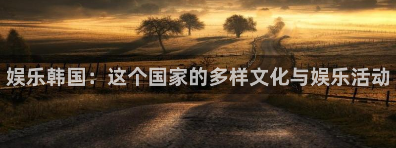 新城平台平台官网：娱乐韩国：这个国家的多样文化与娱乐活动