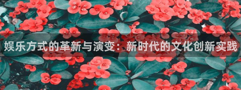 新城平台登录界面入口：娱乐方式的革新与演变：新时代的文化创新实践