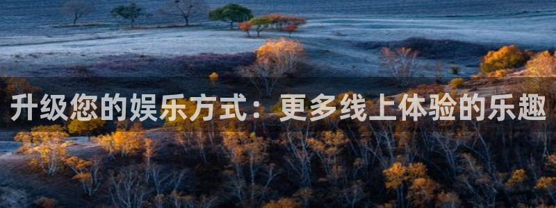 新城平台官网注册：升级您的娱乐方式：更多线上体验的乐趣