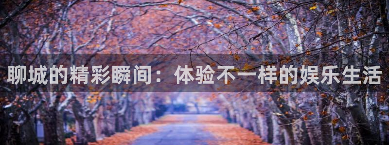 新城平台5招商：聊城的精彩瞬间：体验不一样的娱乐生活