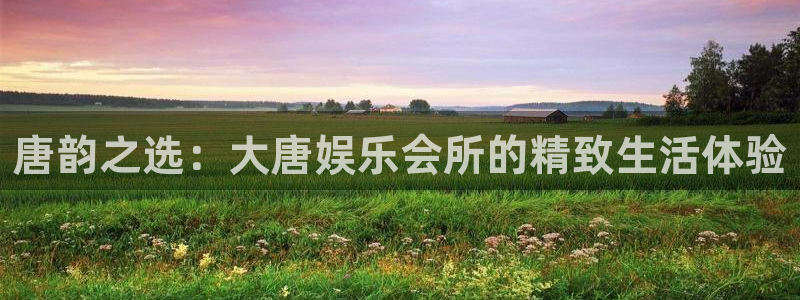 新城平台2登录：唐韵之选：大唐娱乐会所的精致生活体验