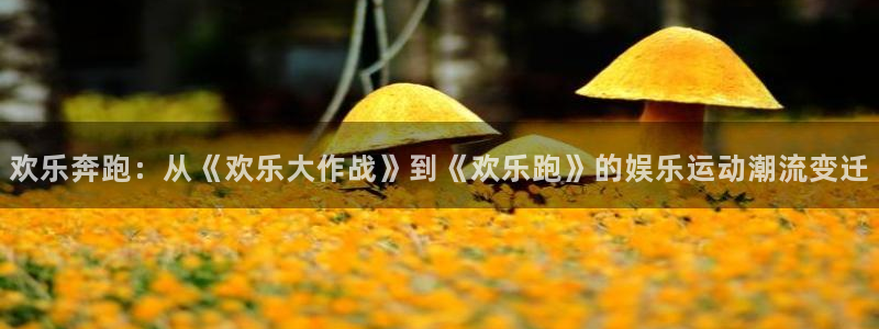 新城平台体育官网入口登录：欢乐奔跑：从《欢乐大作战》到《欢乐跑》的娱乐运动潮流变迁