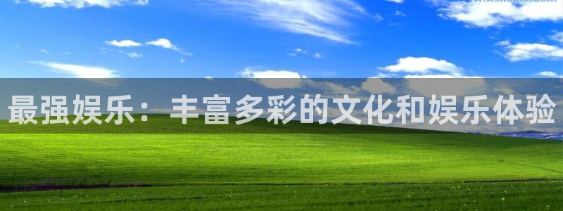 新城平台体育平台登录入口：最强娱乐：丰富多彩的文化和娱乐体验