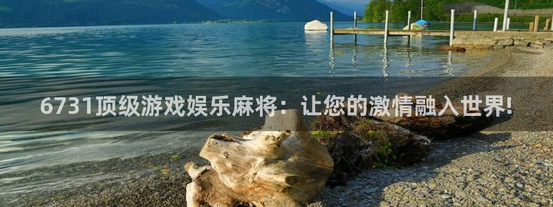 新城平台：6731顶级游戏娱乐麻将：让您的激情融入世界!