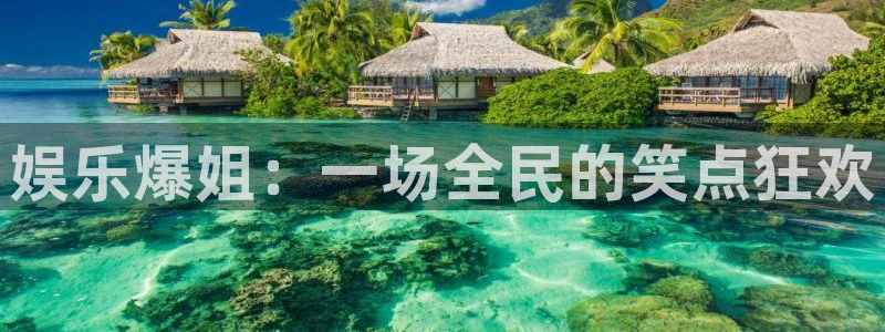 新城平台k：娱乐爆姐：一场全民的笑点狂欢