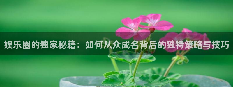 新城平台平台官网：娱乐圈的独家秘籍：如何从众成名背后的独特策略与技巧