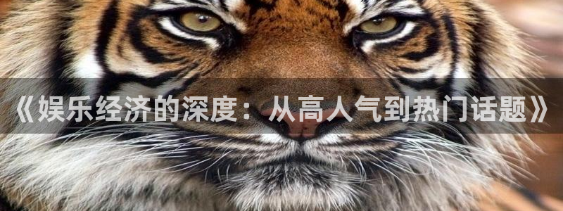 新城平台k：《娱乐经济的深度：从高人气到热门话题》