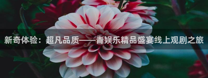 新城平台f凯捷注册：新奇体验：超凡品质——青娱乐精品盛宴线上观剧之旅