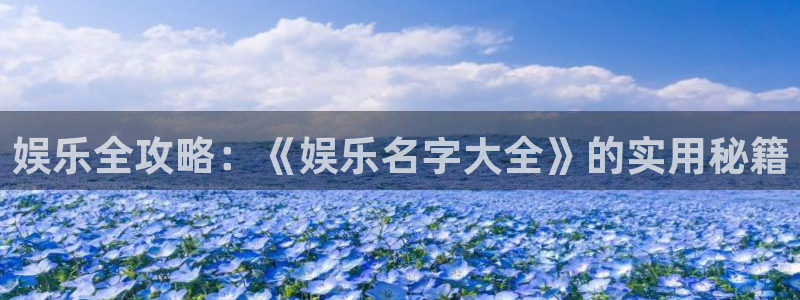 新城平台代理：娱乐全攻略：《娱乐名字大全》的实用秘籍