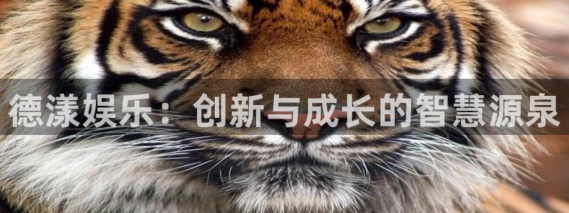 新城平台2体育：德漾娱乐：创新与成长的智慧源泉