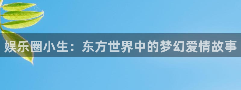 新城平台集团股票：娱乐圈小生：东方世界中的梦幻爱情故事