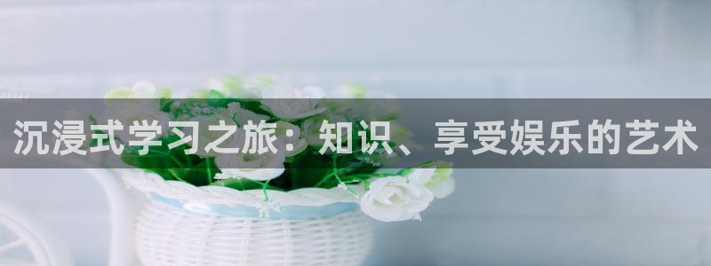 新城平台平台注册：沉浸式学习之旅：知识、享受娱乐的艺术