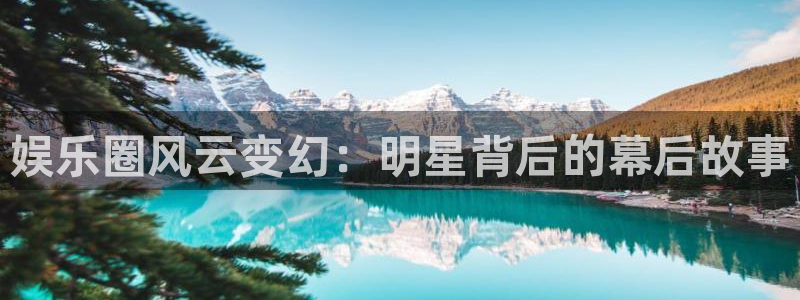 新城平台3代理：娱乐圈风云变幻：明星背后的幕后故事